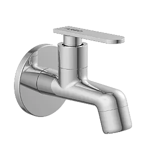 IX-2802 Bib Tap With Wall Flange