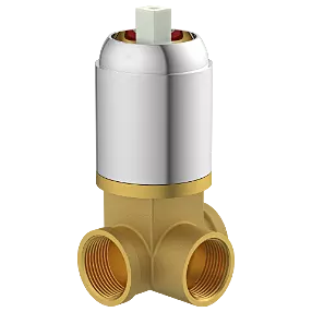 CD-5604 Concealed Body For Single Lever Shower Mixer (Deusch Mixer)