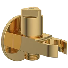 AC-GG-34 Wall Outlet With Shower Hook & Shutoff Valve (Glossy Gold)