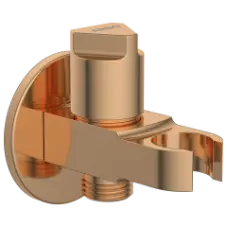 AC-RG-34 Wall Outlet With Shower Hook & Shutoff Valve (Rose Gold)