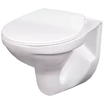 WHC-22121PP Apple Washdown Wall hung Closet With Normal Seat Cover, Hinges, Accessories Set