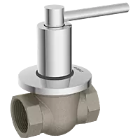 DV-5504 25mm (1" Inch) Drain Valve (PPSU Ball) Forged Brass