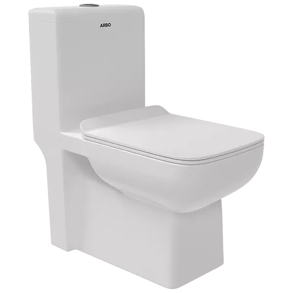 OPC-28121PP Royal P Trap Washdown One Piece Closet With Soft Close Seat Cover, Hinges, Fixing Accessories Set and Accessories Set, Cistern Fittings