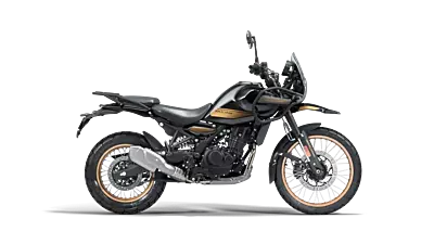 Veridian Cruise Kit for Royal Enfield Himalayan 450 Veridian Cruise Kit for Royal Enfield Himalayan 450