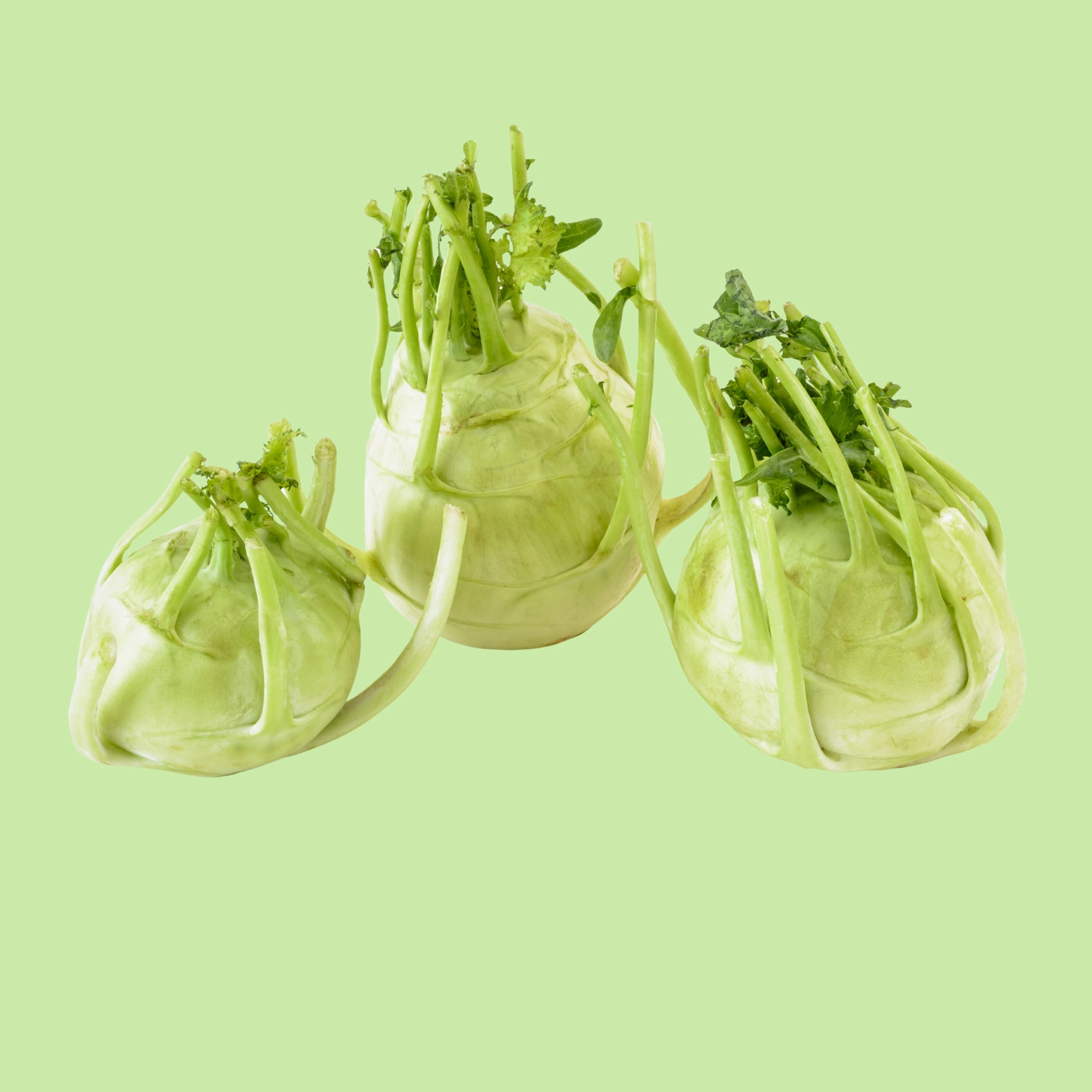 Knool Khol - 250g