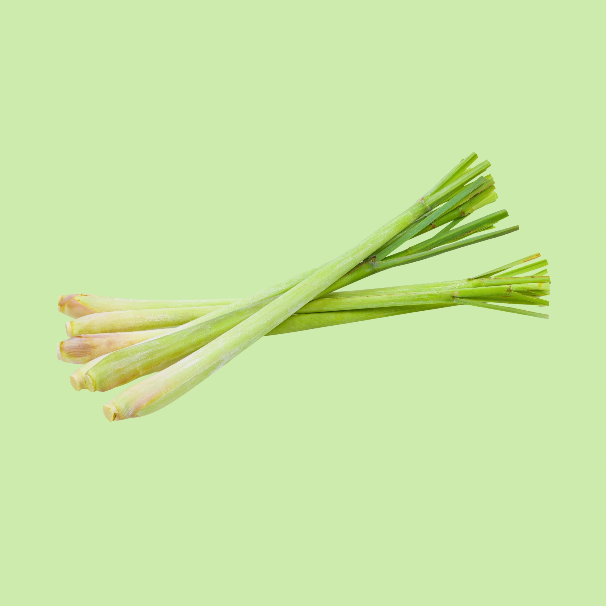 Lemon Grass - 200g