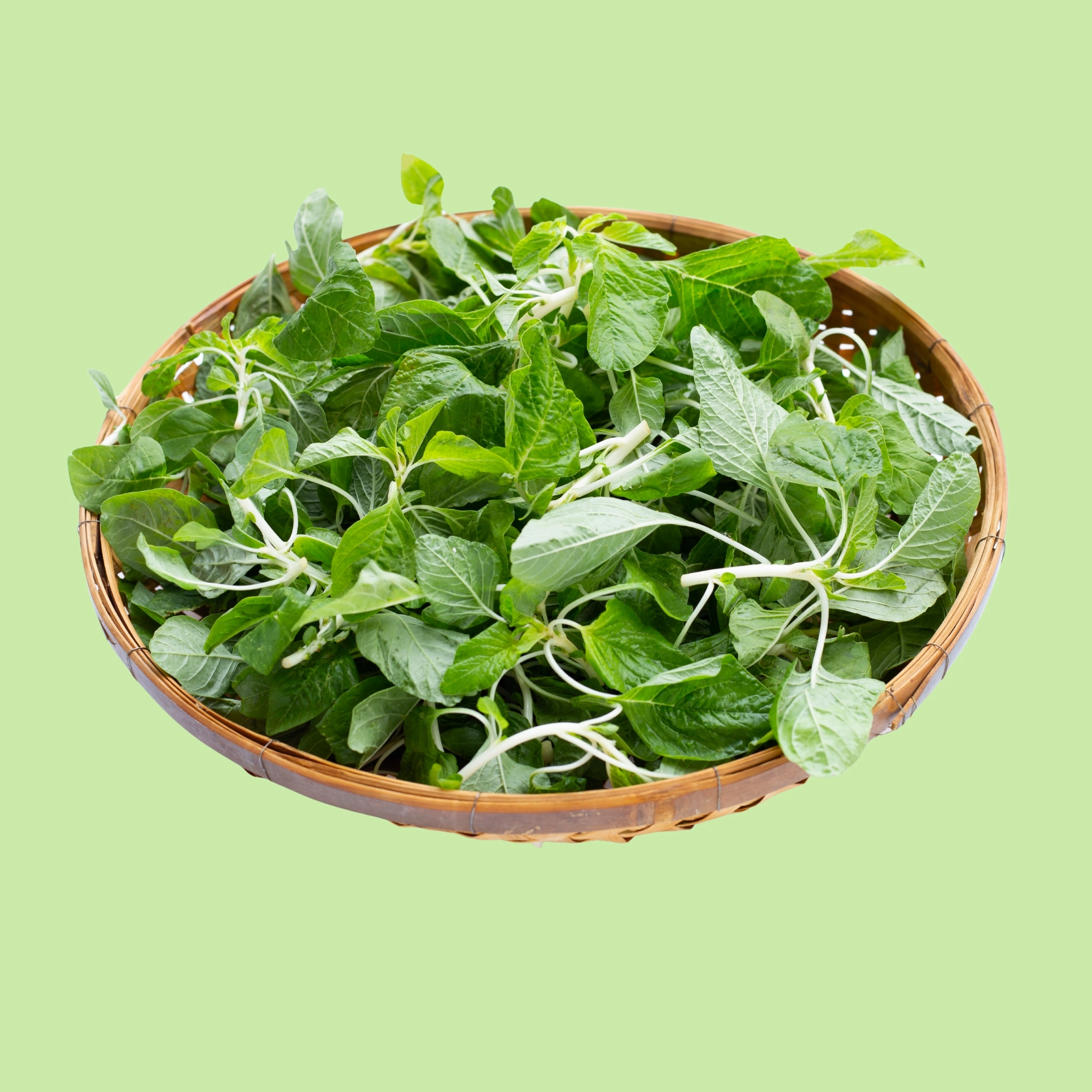 Amaranth Green - 200g