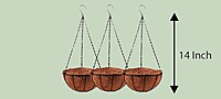 Coco Liner and Hanger Set | Coir Hanging Basket Planter | Multiple Sizes