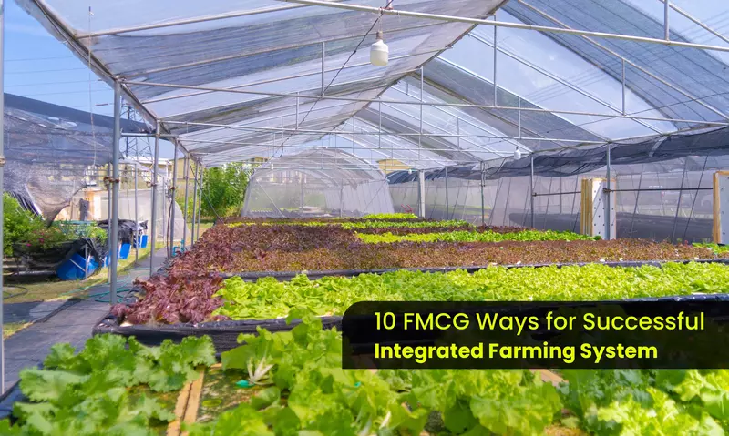 Warehouse-Linked Freight Marketplace