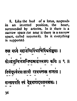 Purusha-Suktam and Narayana Suktam