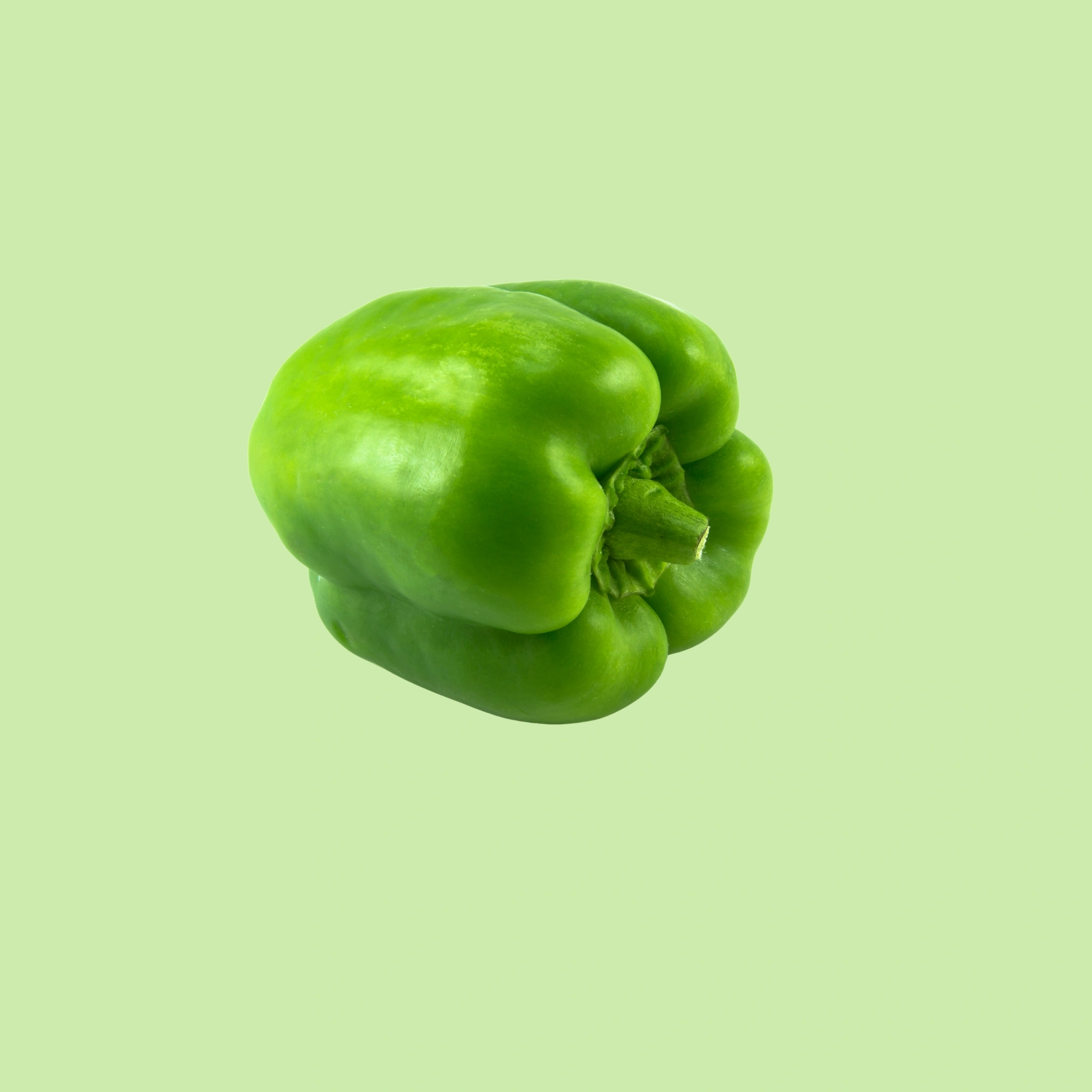 Capsicum Green - 250g