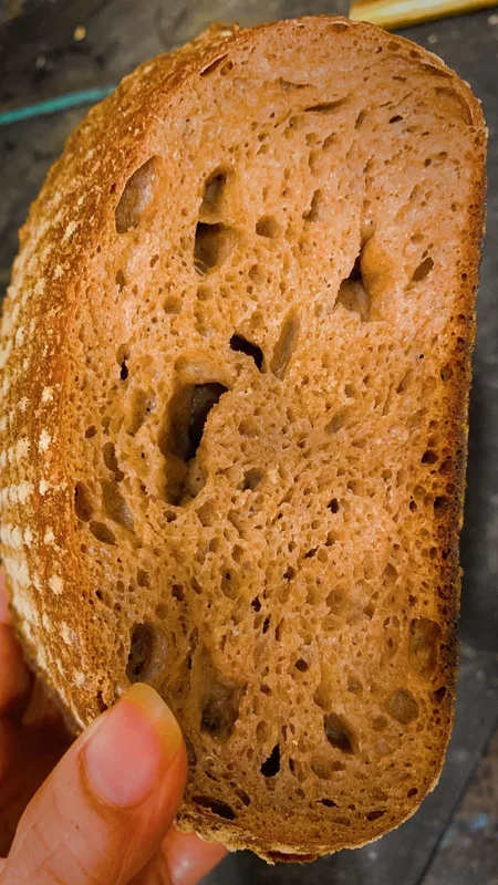 Black Wheat Whole Grain Sourdough Boule