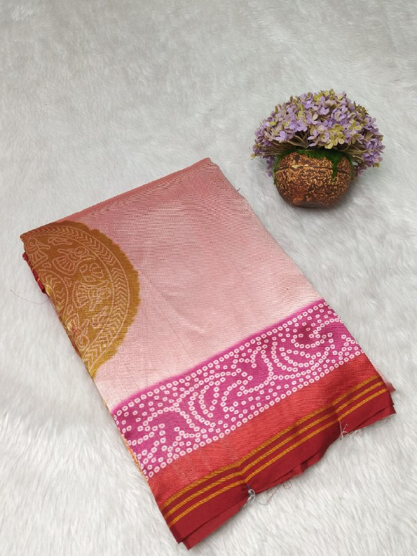 S D PATOLA SILK 119