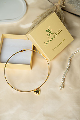 Trendy Heart Necklace