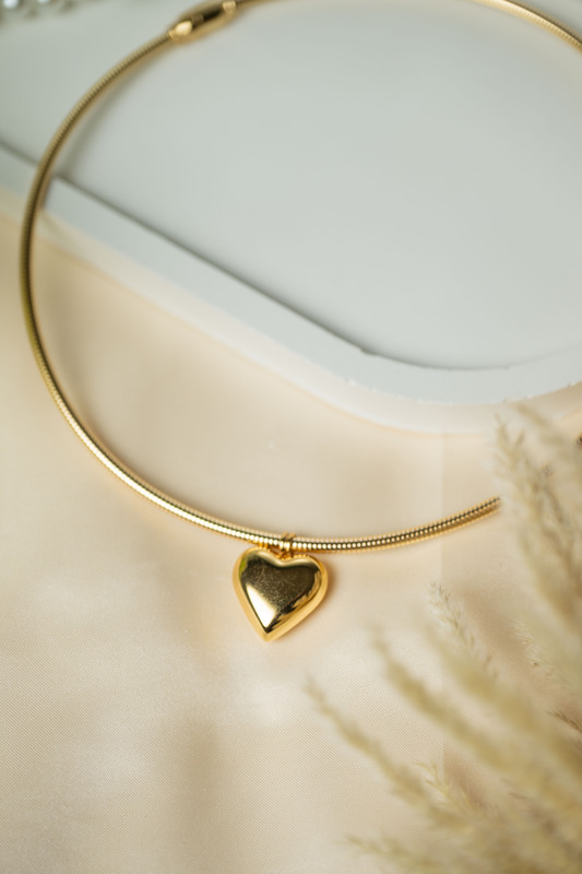 Trendy Heart Necklace