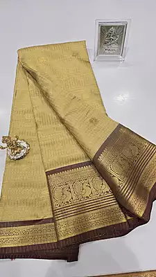 Checks Border Silk