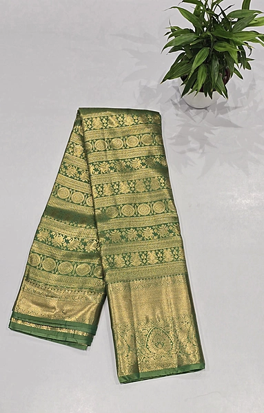 Brocket Self Saree (6007)