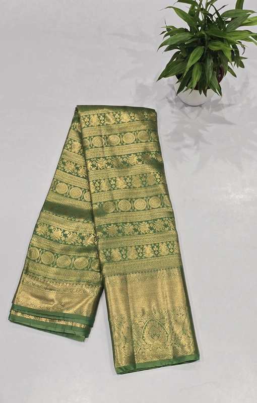 Brocket Self Saree (6007)