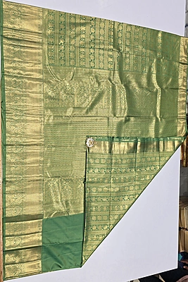 Brocket Self Saree (6007)