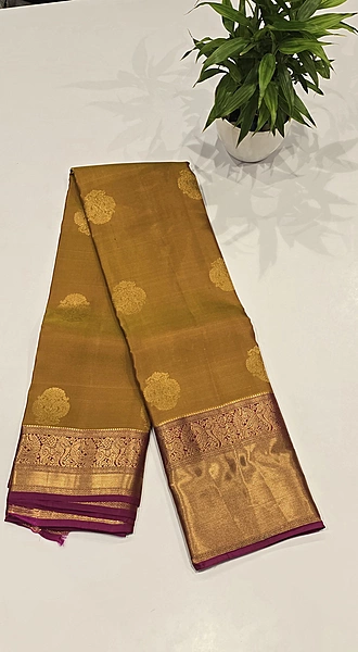 Pure Kanchi Pattu Silk (id 8007)