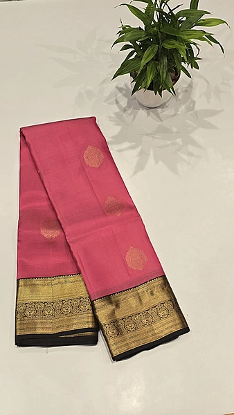 Pure Kanchi Pattu Silk (id 8008)