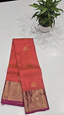 Pure Kanchi Pattu Silk (id 8024)