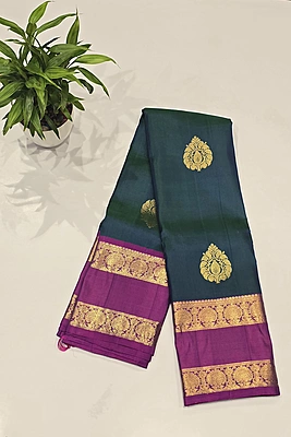Pure Kanchi Pattu Handloom Silk with Silk Mark (id 11000)