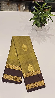 Pure Kanchi Pattu Handloom Silk with Silk Mark (id 11011)