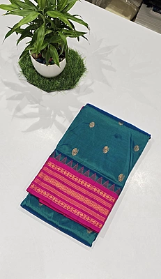 Paithani Pattu Kuttu Border Saree (id 24001)