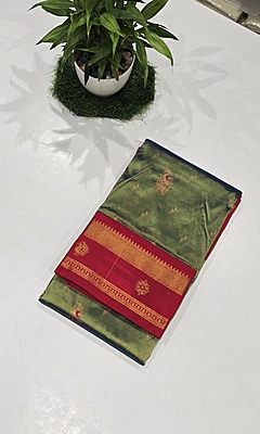 Paithani Pattu Kuttu Border Saree (id 24003)