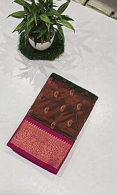 Paithani Pattu Kuttu Border Saree (id 24005)