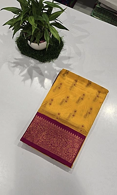 Paithani Pattu Kuttu Border Saree (id 24008)