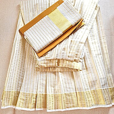 Golden Tissue Striped Dhavani