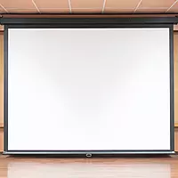 DotNet Motorized Projection Screen 8x10 ft.