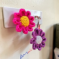 Daisy Magnets