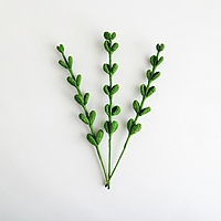 Eucalyptus Stem Large Light Green Eucalyptus Stem Large Light Green