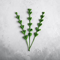 Eucalyptus Stem Large Light Green Eucalyptus Stem Large Light Green