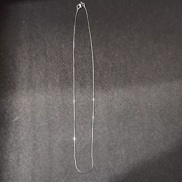 Stainless steel Neck chain 1