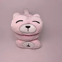 Kids earmuff 2