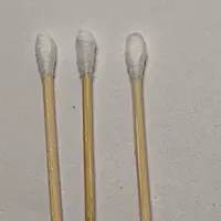 Swabs earbuds