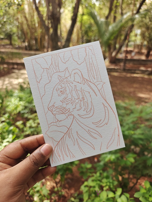 Letters from the Wild