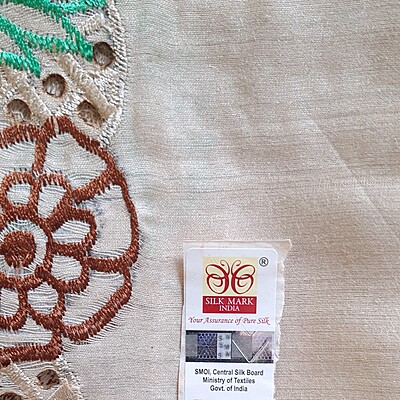 Beige Pure Tussar Cut work Saree Beige Pure Tussar Cut work Saree
