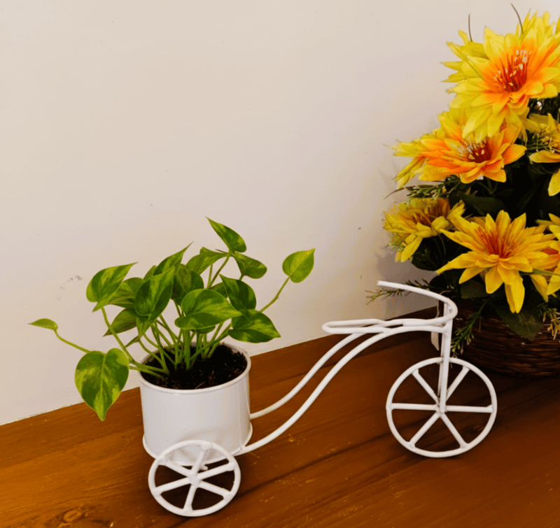 Tri Cycle Planter Stand 1012-D