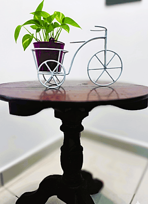 Bicycle with Bucket Planter 1022-A