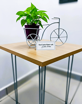 Bicycle with Bucket Planter 1022-A