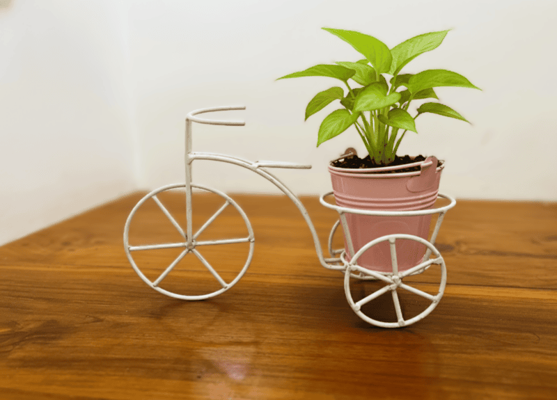 Bicycle with Bucket Planter 1022-E