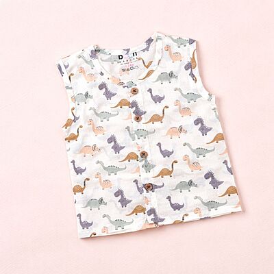 Dino Delight Sleeveless Cotton Baby Jhabla