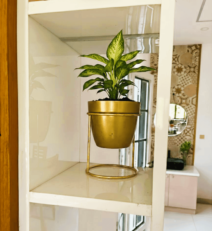 Desktop Planter with Stand 1029-C