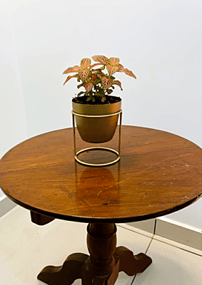 Desktop Planter with Stand 1029-C