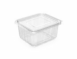 PET Hinged Containers: AT 375/500